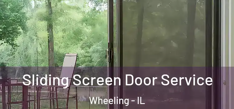  Sliding Screen Door Service Wheeling - IL